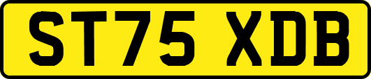 ST75XDB