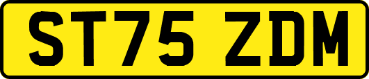 ST75ZDM