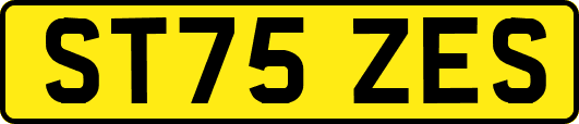 ST75ZES