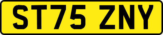 ST75ZNY