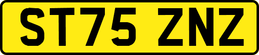 ST75ZNZ