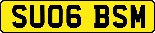 SU06BSM