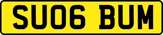 SU06BUM