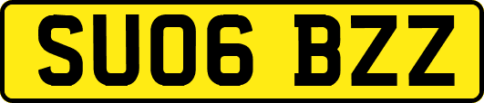 SU06BZZ