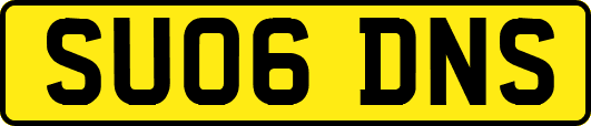 SU06DNS