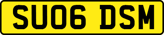 SU06DSM