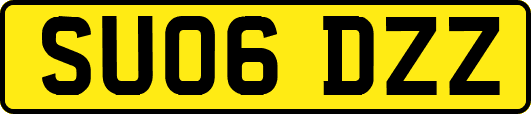 SU06DZZ
