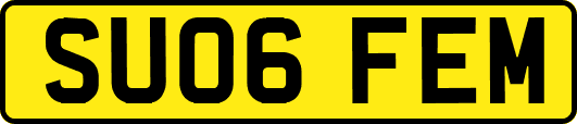SU06FEM