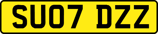 SU07DZZ