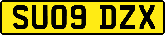 SU09DZX