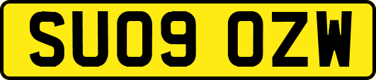 SU09OZW