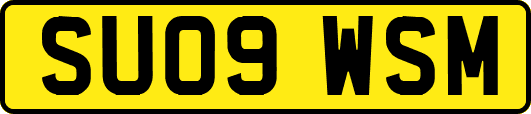 SU09WSM