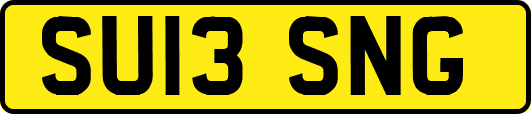 SU13SNG