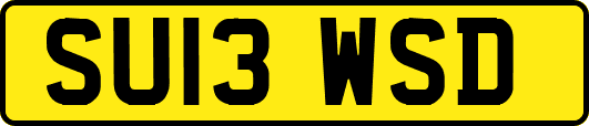 SU13WSD