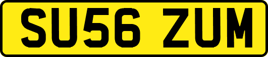 SU56ZUM