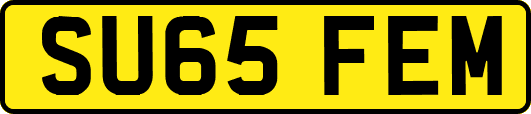 SU65FEM