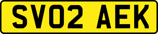 SV02AEK