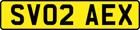 SV02AEX
