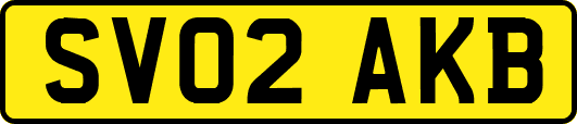 SV02AKB