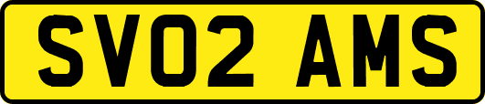 SV02AMS