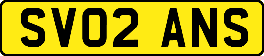 SV02ANS