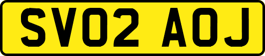 SV02AOJ