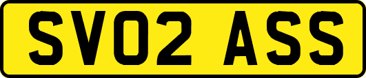 SV02ASS