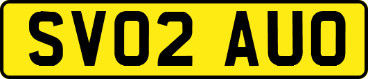 SV02AUO