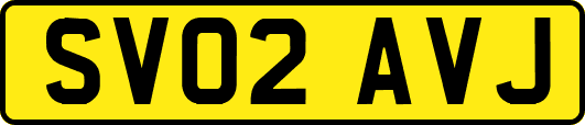 SV02AVJ