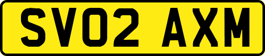 SV02AXM