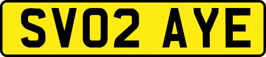 SV02AYE