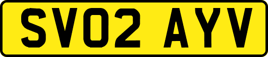 SV02AYV