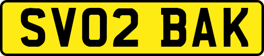 SV02BAK