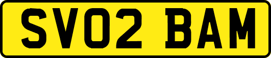 SV02BAM
