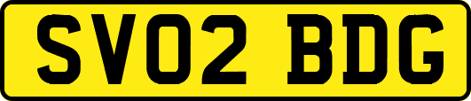 SV02BDG