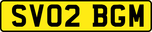 SV02BGM