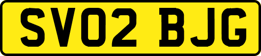 SV02BJG