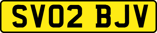 SV02BJV