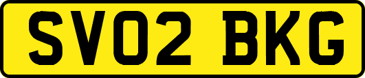 SV02BKG