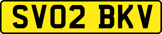 SV02BKV
