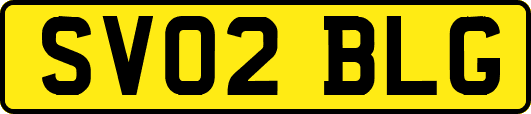 SV02BLG