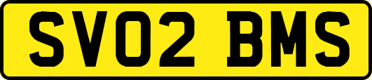 SV02BMS