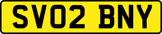 SV02BNY