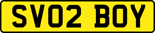 SV02BOY