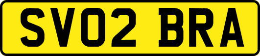 SV02BRA