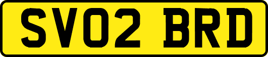 SV02BRD