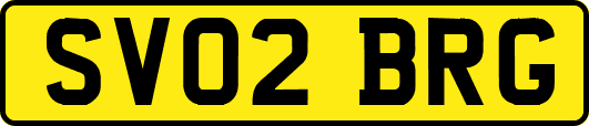 SV02BRG
