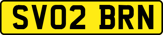 SV02BRN