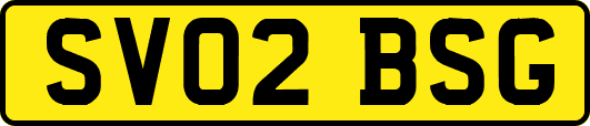 SV02BSG
