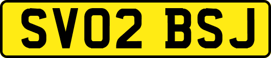 SV02BSJ